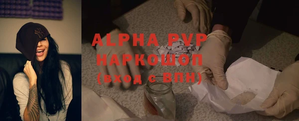 дживик Новозыбков