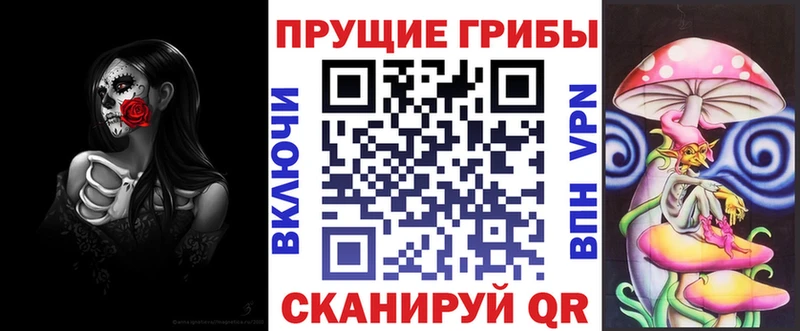 закладка  Каневская  Галлюциногенные грибы Psilocybe 
